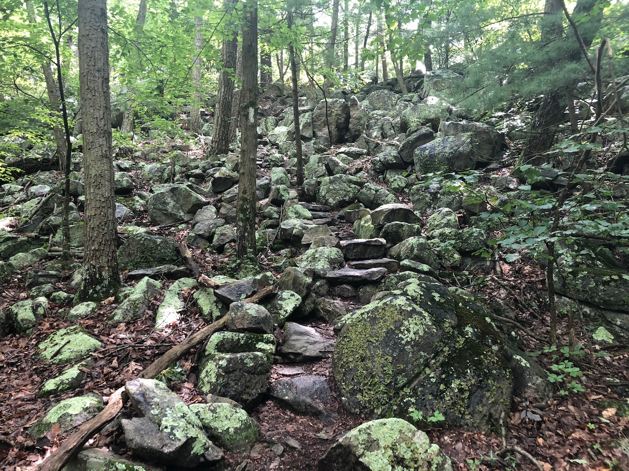 Photo of a rocky step trail