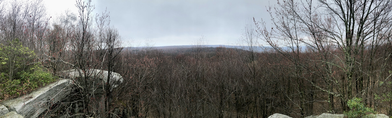Photo of a vista with barren trees and some mountains in the distance